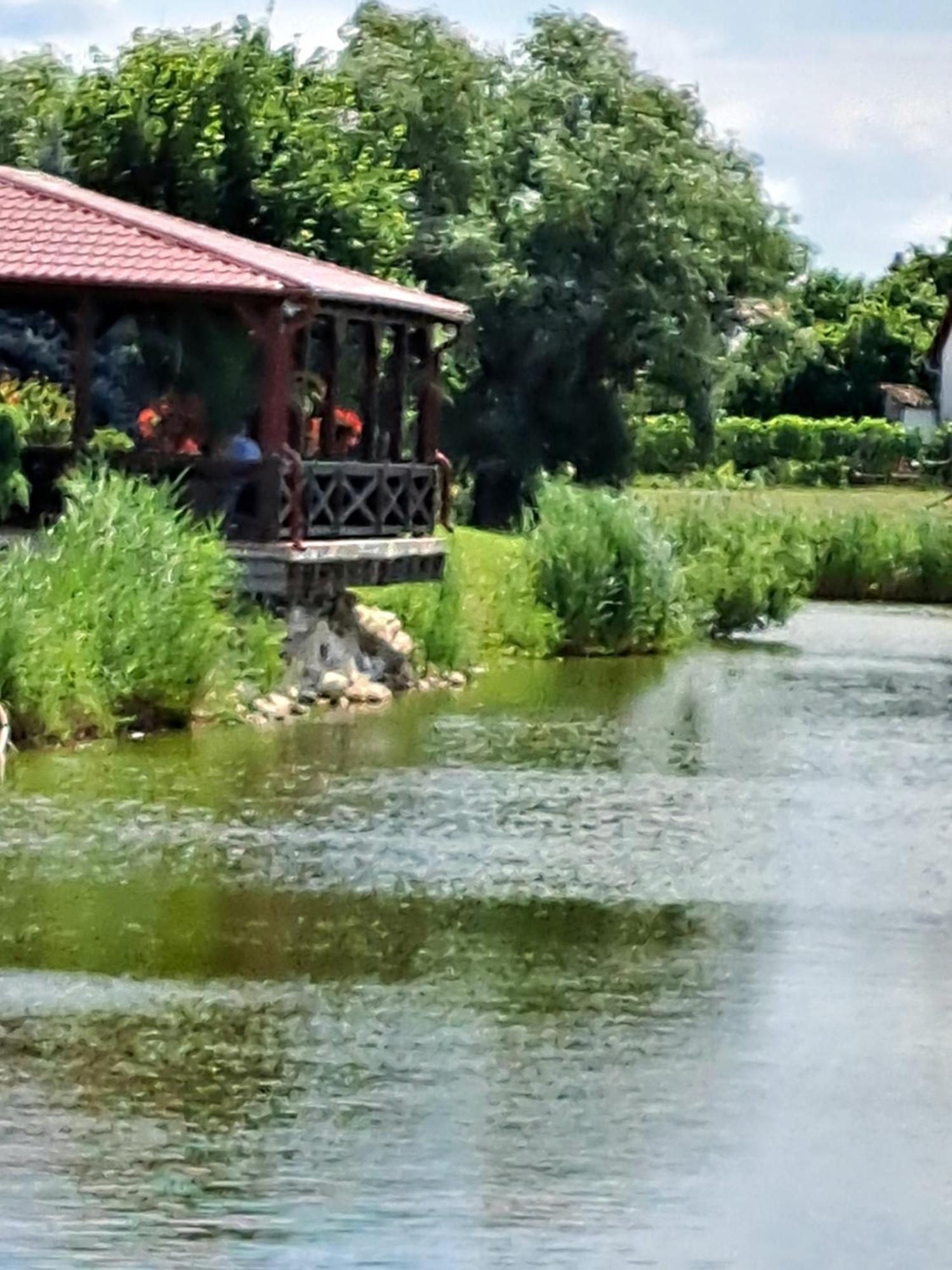 Chotin Grapeline Guesthouse מראה חיצוני תמונה